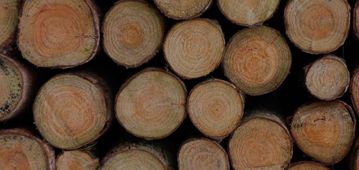 Carpintería Hermanos Azpiroz troncos de madera